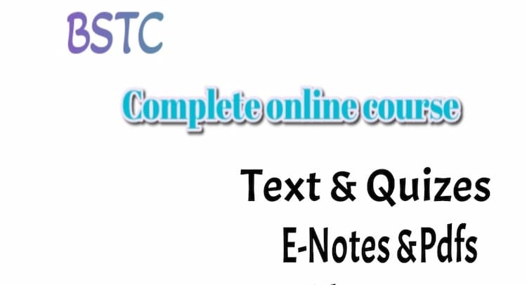 course | Bstc 2024 rajasthan 